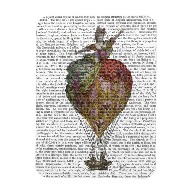 Hot Air Balloon Woman 3 Magnet (Vertical)
