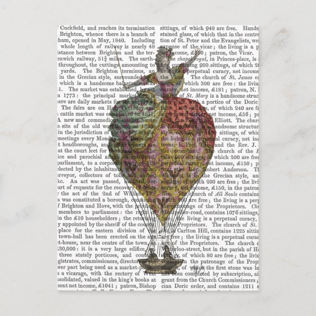 Hot Air Balloon Woman 3 Postcard (Front)