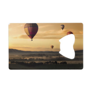 Hot air balloons