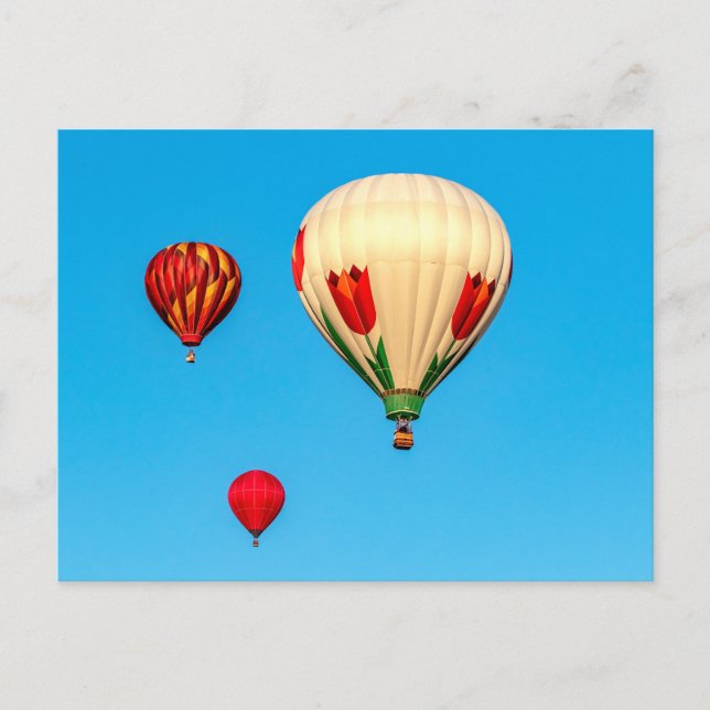 Hot Air Balloons Postcard (Front)