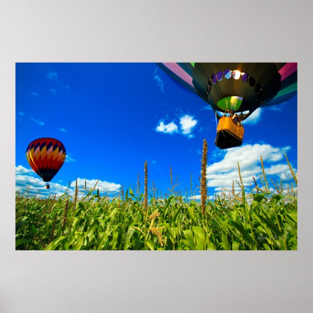 Hot Air Balloons Poster (Front)