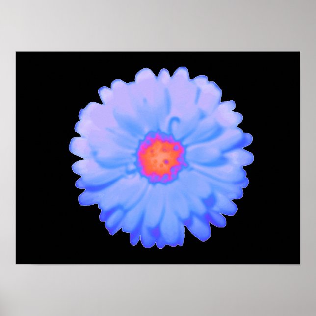 Hot and Cold Marigold Poster (Front)