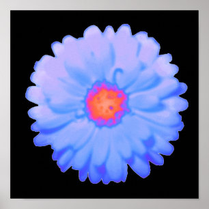 Hot and Cold Marigold Poster