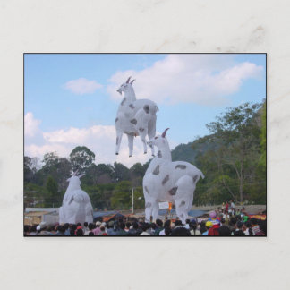 Hot Balloon Festival 1 Postcard