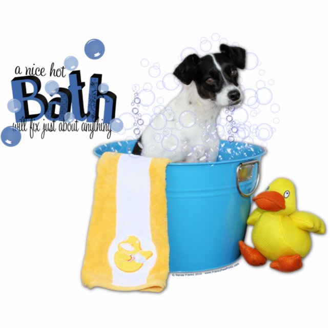 Hot Bath - Rat Terrier - Rosco Standing Photo Sculpture (Front)
