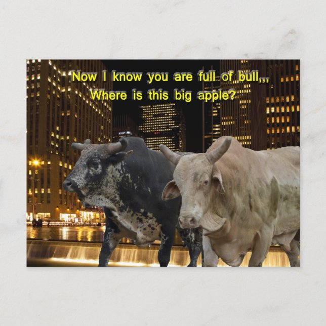 Hot Bulls In The City Postcard (Front)