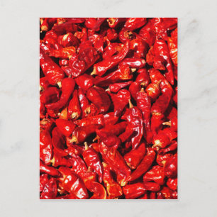 hot chilli.jpg postcard