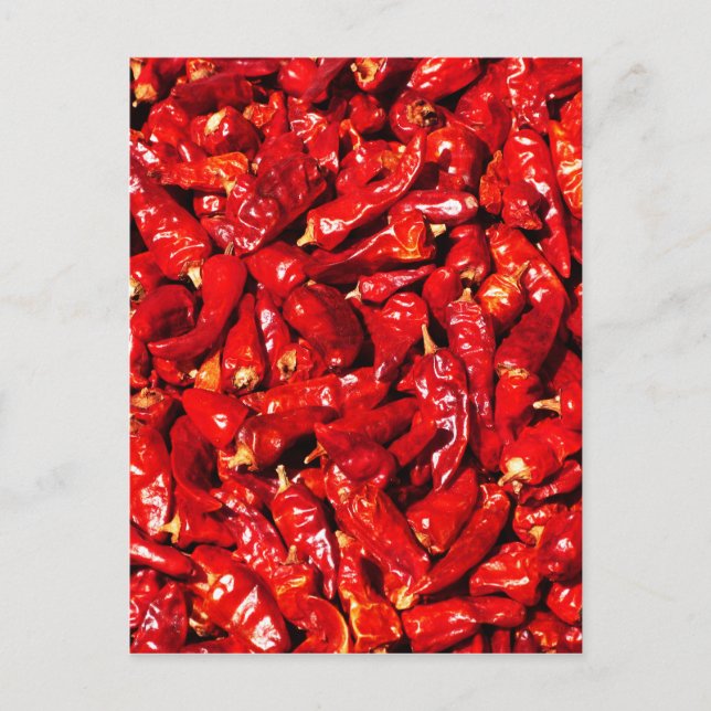 hot chilli.jpg postcard (Front)