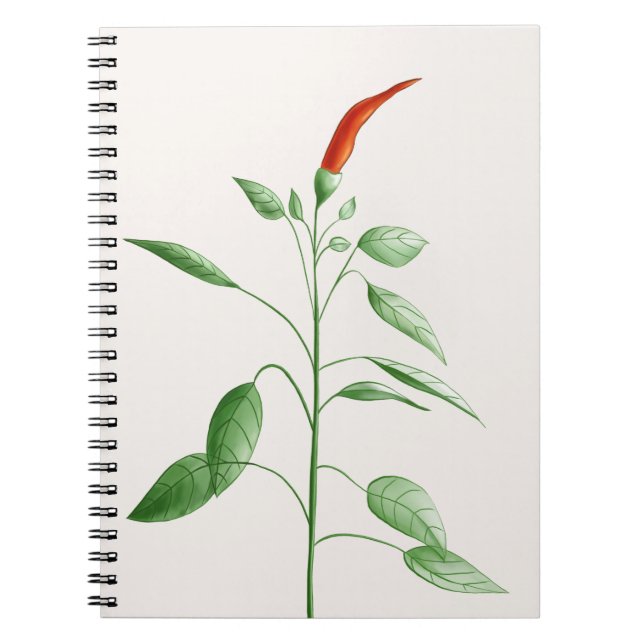 Hot Chilli Pepper Plant Botanical Illustration Notebook (Front)