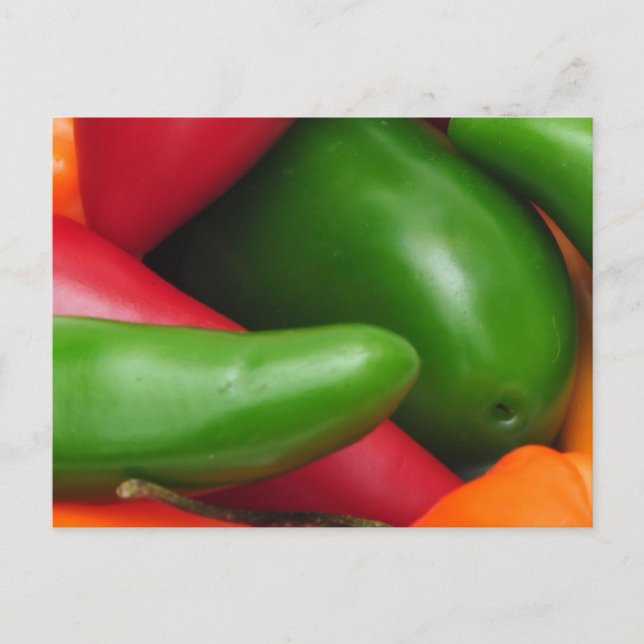 Hot Cihilis Postcard (Front)