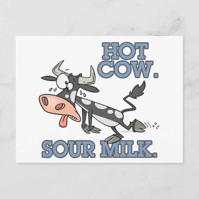 hot cow sour milk funny cartoon moo cow postcard (Front)