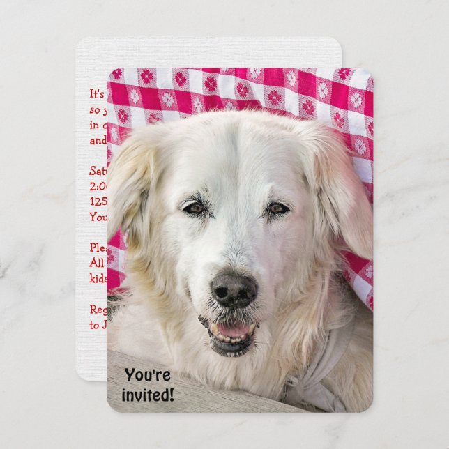 Hot Dog Fry invitation (Front/Back)