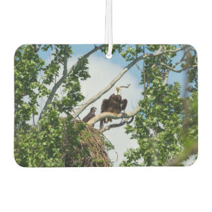 Hot Eagles Car Air Freshener