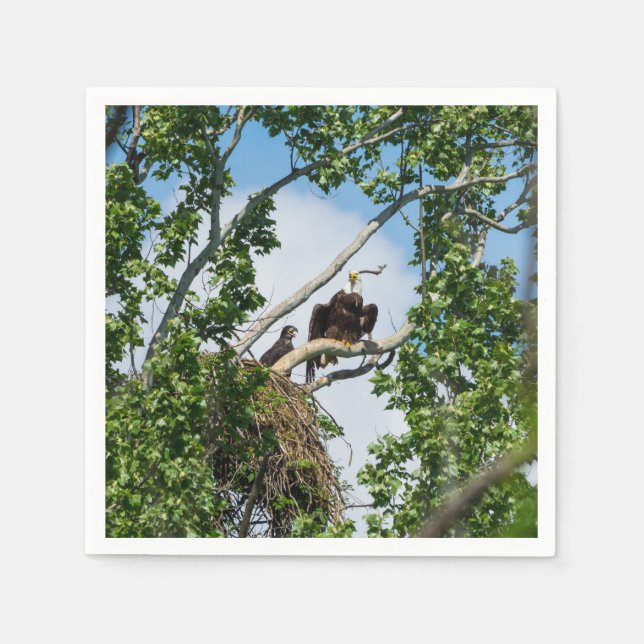 Hot Eagles Napkin (Front)