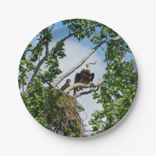 Hot Eagles Paper Plate