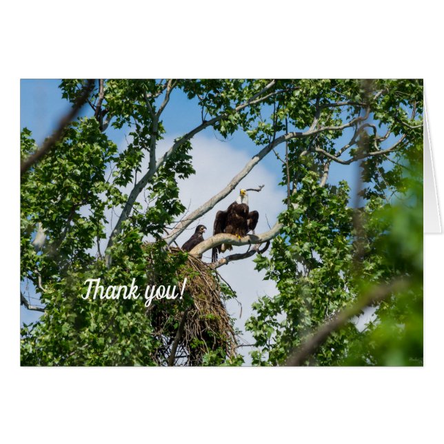 Hot Eagles Thank You Card (Front Horizontal)