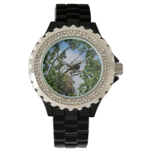 Hot Eagles Watch