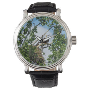 Hot Eagles Watch