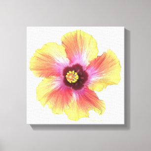 Hot Hibiscus Canvas Print