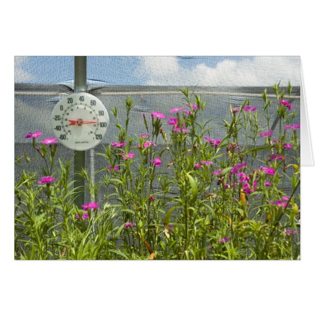 Hot House Nursery Card (Front Horizontal)