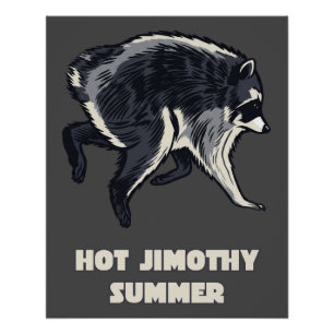 Hot Jimothy Summer Funny Racoon Meme Animal Poster