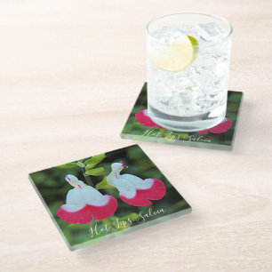 Hot Lips Salvia Floral Glass Coaster