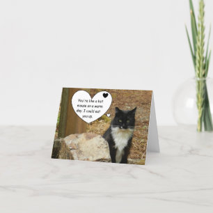 Hot Mouse Cat Valentine Holiday Card