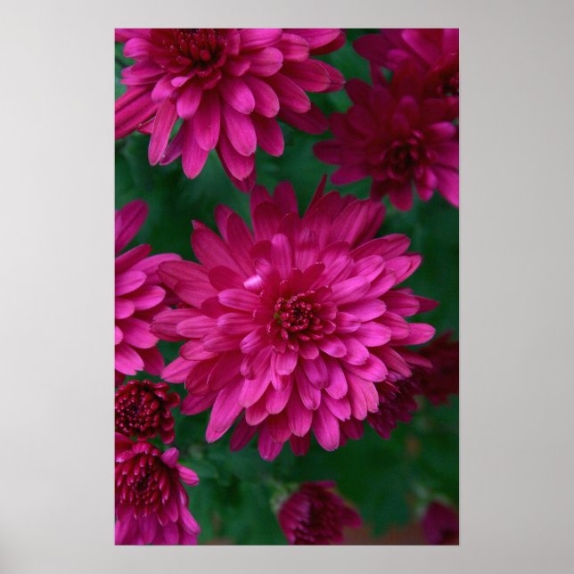 Hot Mum! Poster (Front)