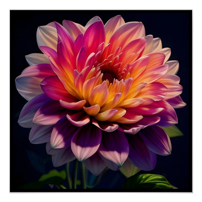 Hot Orange and Pink Dahlia Flower Poster (Front)