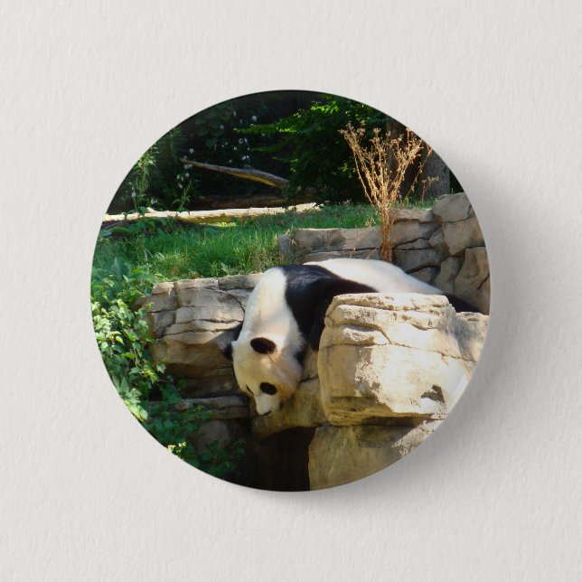 Hot Panda 6 Cm Round Badge (Front)