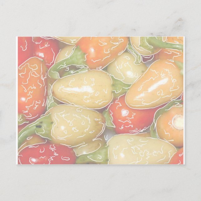 Hot peppers, faded background with tracing postcard (Front)
