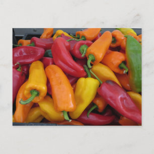 Hot Peppers Postcard