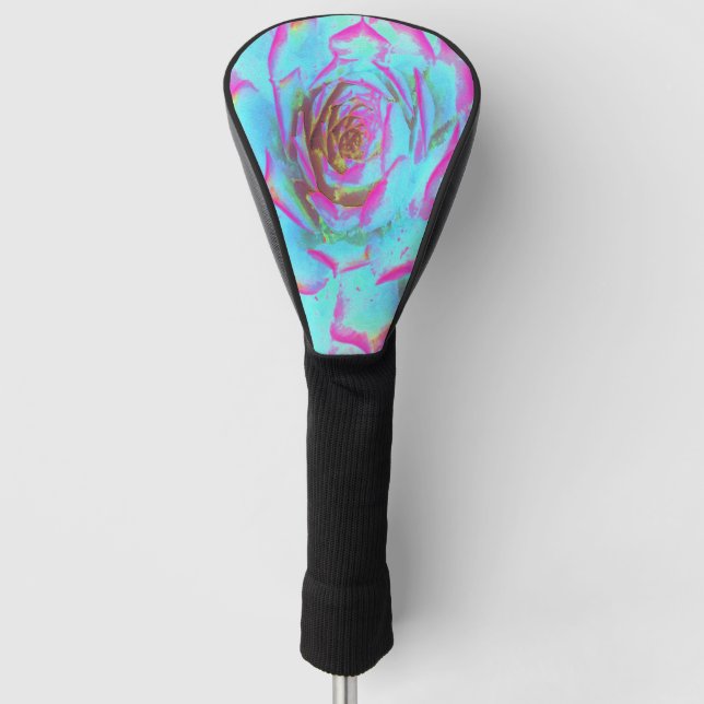 Hot Pink and Blue Succulent Sedum Rosette Golf Head Cover (Front)