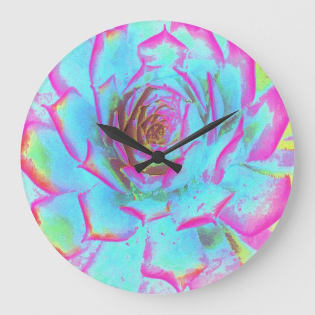 Hot Pink and Blue Succulent Sedum Rosette Large Clock (Front)