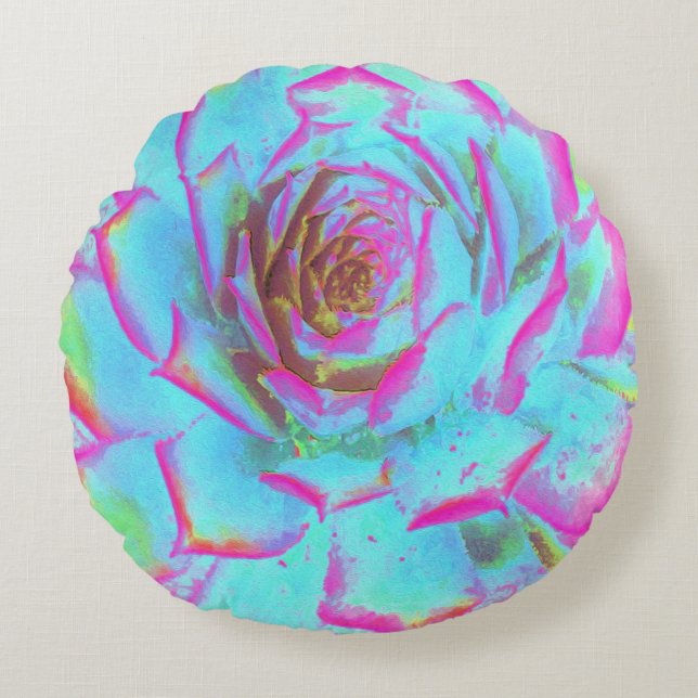 Hot Pink and Blue Succulent Sedum Rosette Round Cushion (Front)