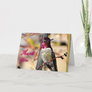 Hot Pink Anna's Hummingbird Photo Thank You Card