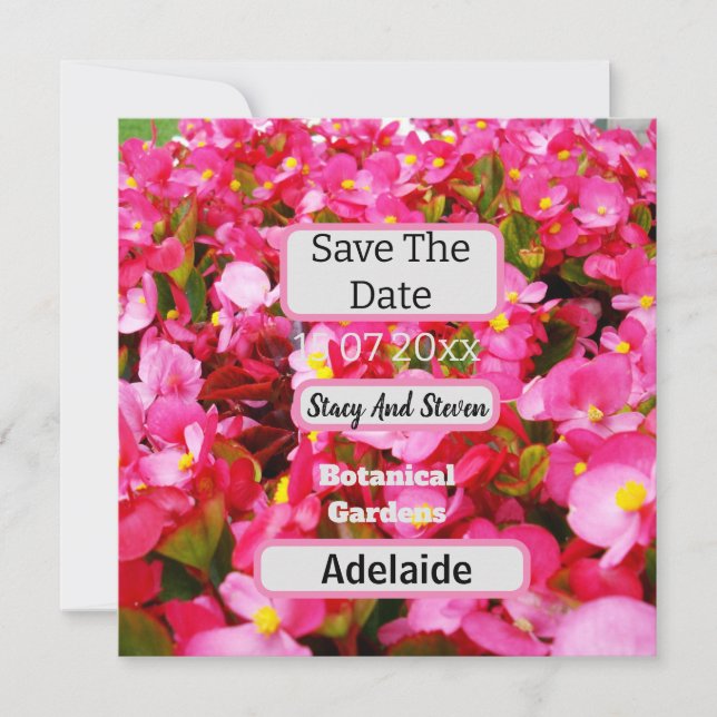 Hot Pink Begonia Flowers Save The Date, Date (Front)