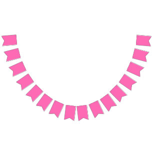 Hot Pink Bunting