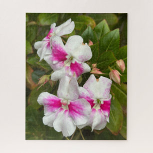 Hot Pink Camellia, San Francisco Jigsaw Puzzle