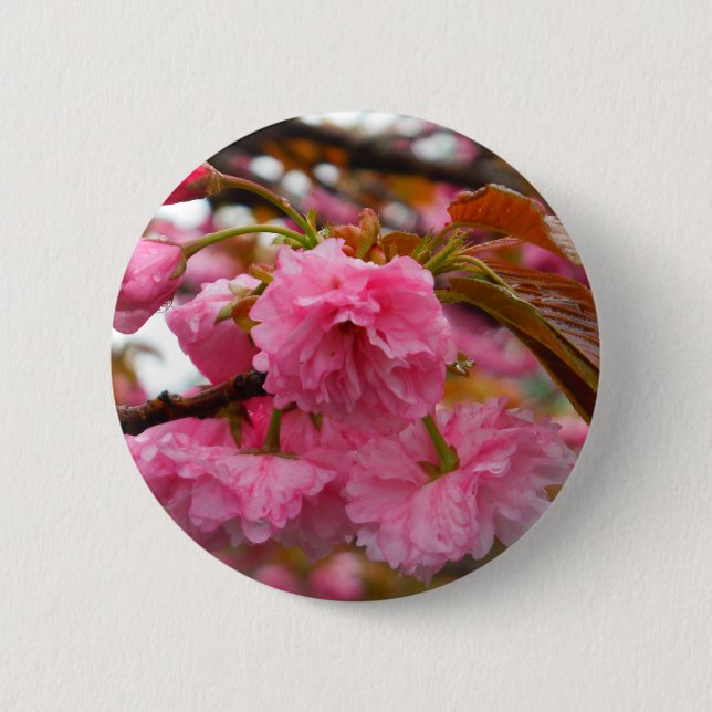 Hot Pink Cherry Blossom Flowers 6 Cm Round Badge (Front)
