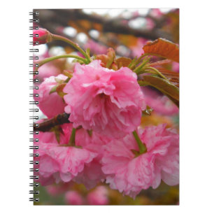 Hot Pink Cherry Blossom Flowers Notebook