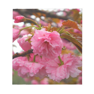 Hot Pink Cherry Blossom Flowers Notepad