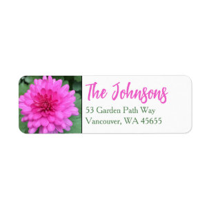 Hot Pink Crysanthemems Floral Mums Address