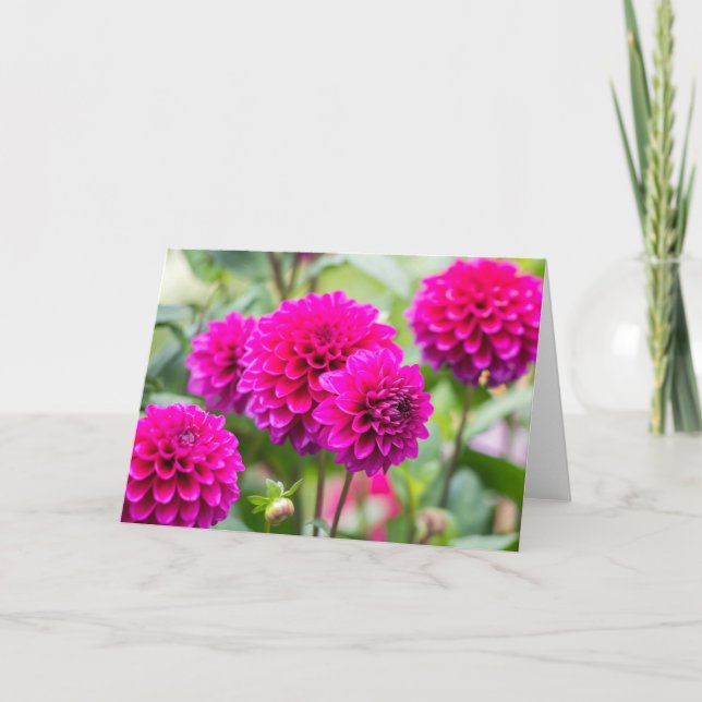 Hot Pink Dahlia Pompom Flowers Card (Front)