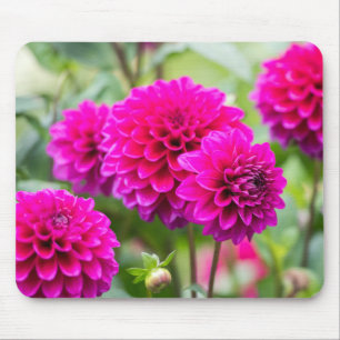 Hot Pink Dahlia Pompom Flowers Mouse Mat