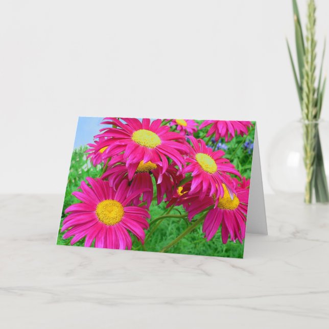 Hot Pink Daisies Thank You Card (Front)