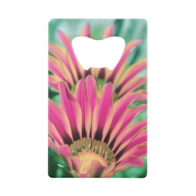 Hot Pink Daisy (Front)