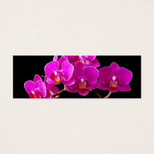 Hot Pink Dendrobium Orchid Flower Orchids Template