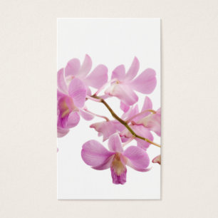 Hot Pink Dendrobium Orchid Flower Orchids Template