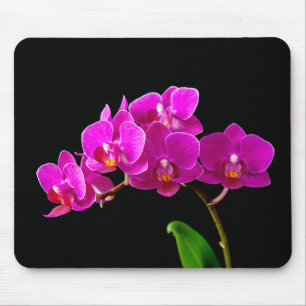 Hot Pink Dendrobium Orchid Flower Orchids Template Mouse Mat